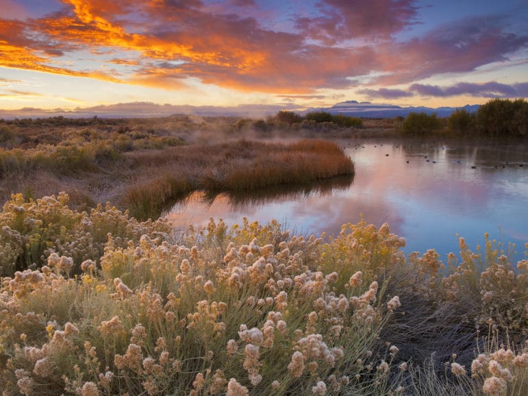 Sunrise at a pond surrounded by fall vegetation with ducks on the pond and steam rising from it, with bright orange and gold clouds inthe blue clearing sky.