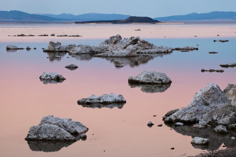 Sunset colors of pink and blue on a glassy Mono Lake with tufa mounds in the foreground, the lake covered in dots of Eared Grebes in the background, and the black volcanic island of Negit in the distance.