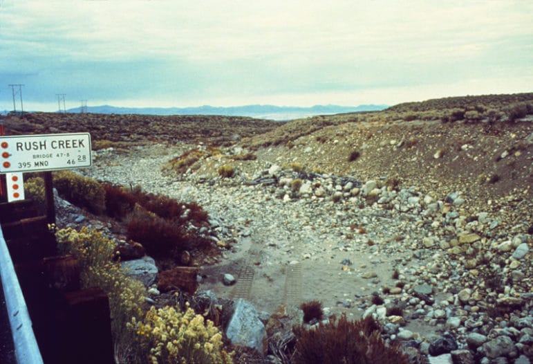 A dry creek bed with a highway sign that reads "Rush Creek" and motorized vehicle tracks in the sand of the creek below.