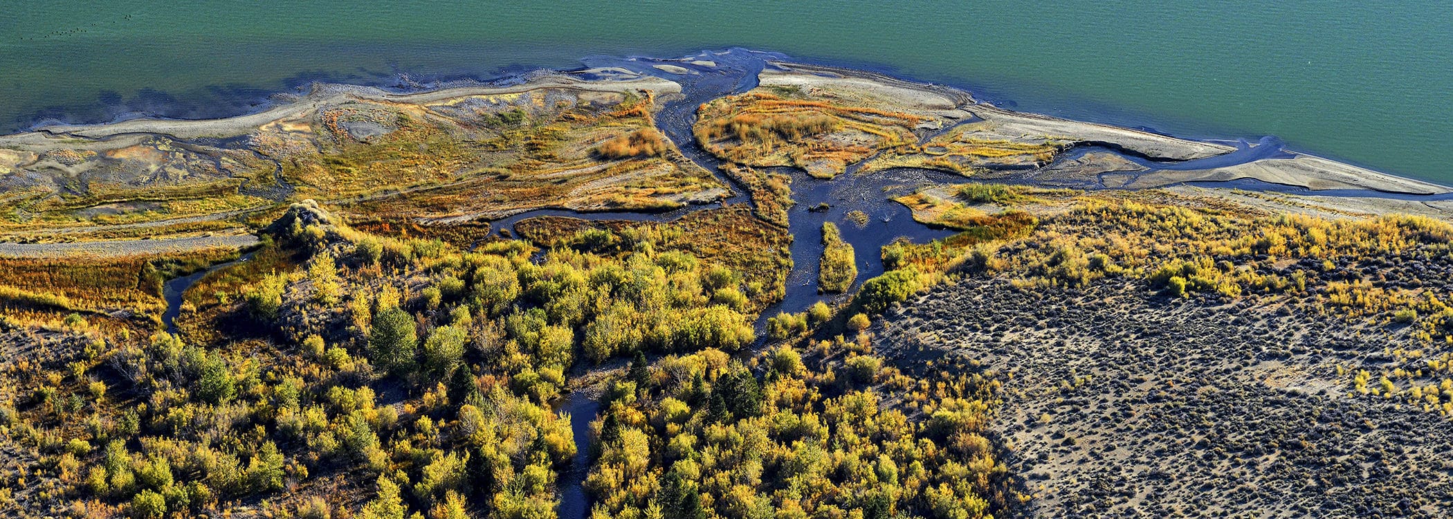 Colorful aerial view of part of the Lee Vining Creek delta with winding blue waterways green and yellow vegetation, and a bright blue-green Mono Lake.