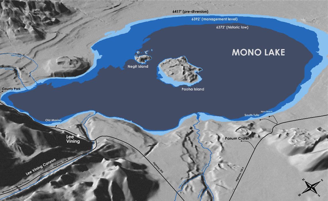 Stylized graphic map showing Mono Lake's different levels over time, including the pre-diversion level, management level, and historic low level.