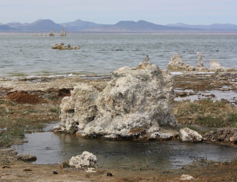 Tufa rock next to a a freshwater spring surrounded by mud and grasses with the shoreline of Mono Lake in the distance.