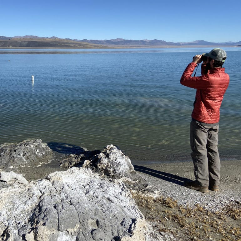 Person with binoculars standing on a shoreline looking out at a lake level gauge in Mono Lake.