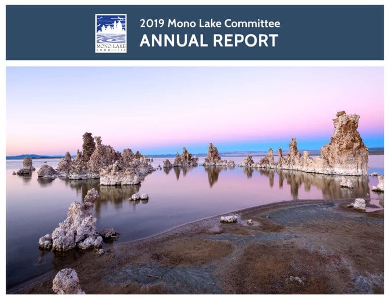 Cover of the 2019 Mono Lake Committe Annual Report with a photo of tufa reflecting in glassy water and pink and blue sunset colors.