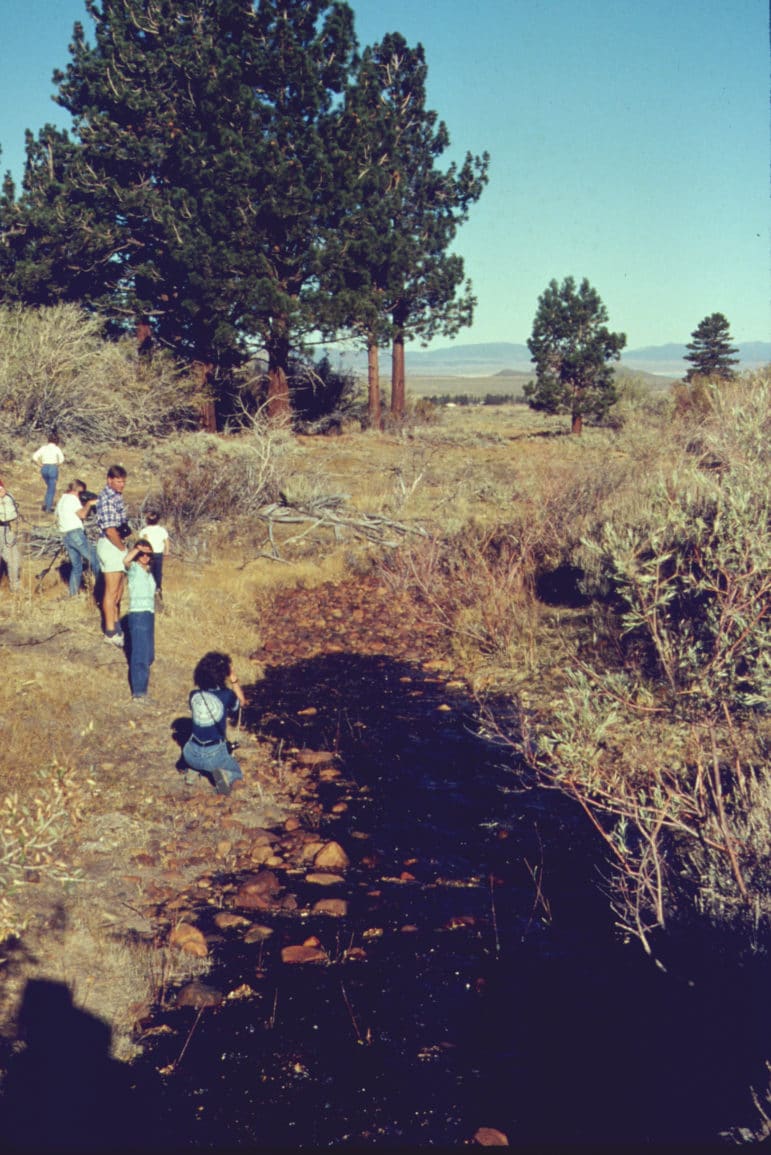 Water spills slowly down a dry creek bed of cobblestones as 7 people look on and walk beside the creek through sagebrush and past tall pine trees.