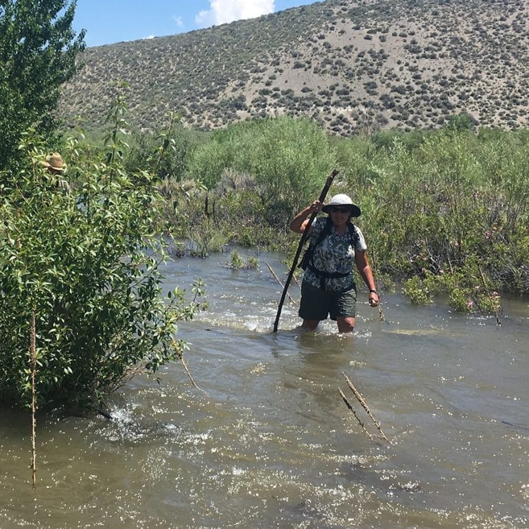 Three people walking through a flooded stream in rushing water up to their knees.