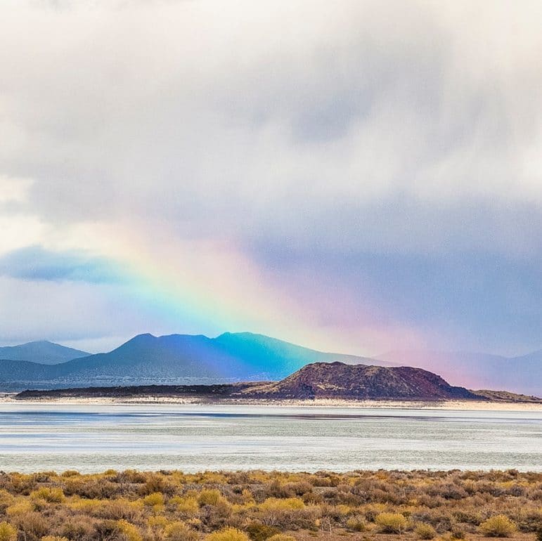 A bright rainbow ends at the black island of Negit in a silvery Mono Lake with storm clouds around and golden bushes in the foreground.