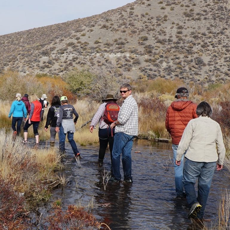 Ten people are walking in a stream through a landscape of shrubs and willows in fall colors of dusty yellow and rusty red, and they are walking together towards an unknown destination in the distance.