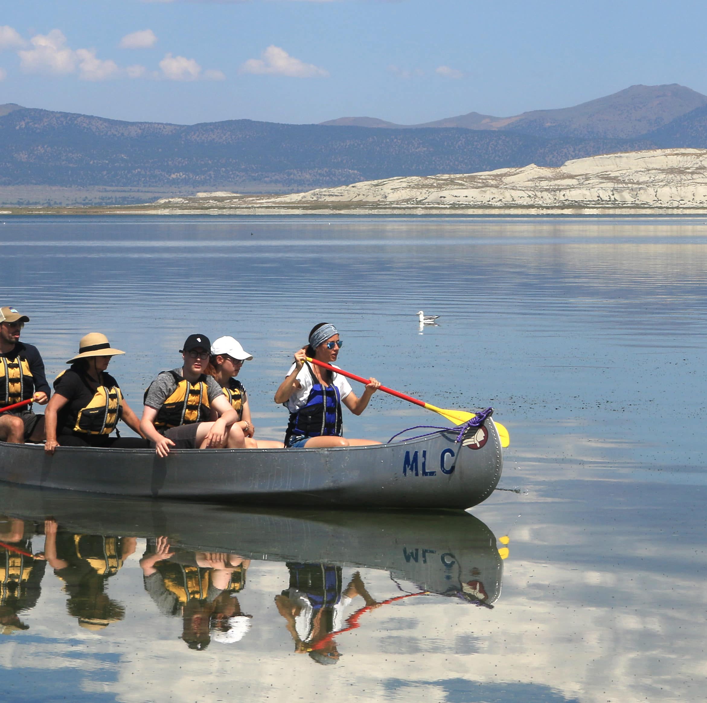 Five people ride in a metal canoe on a glassy Mono Lake with blue skies and beautiful puffy clouds and bright vibrant colors with a California Gull floating on the water in the background and a large white island, Paoha, in the distance.