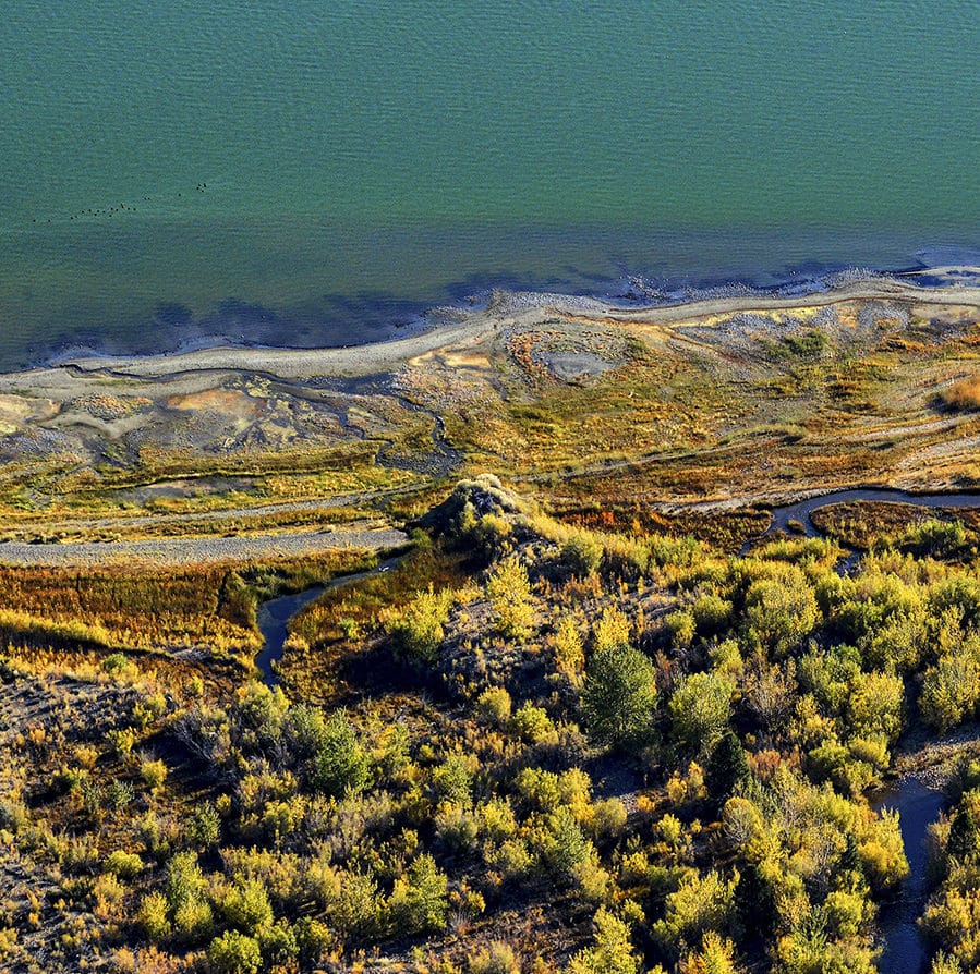 Colorful aerial view of part of the Lee Vining Creek delta with winding blue waterways green and yellow vegetation, and a bright blue-green Mono Lake.