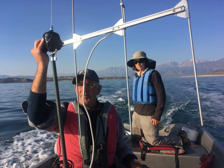 Eared Grebe researchers on a boat listening for grebes with telemetry equipment.