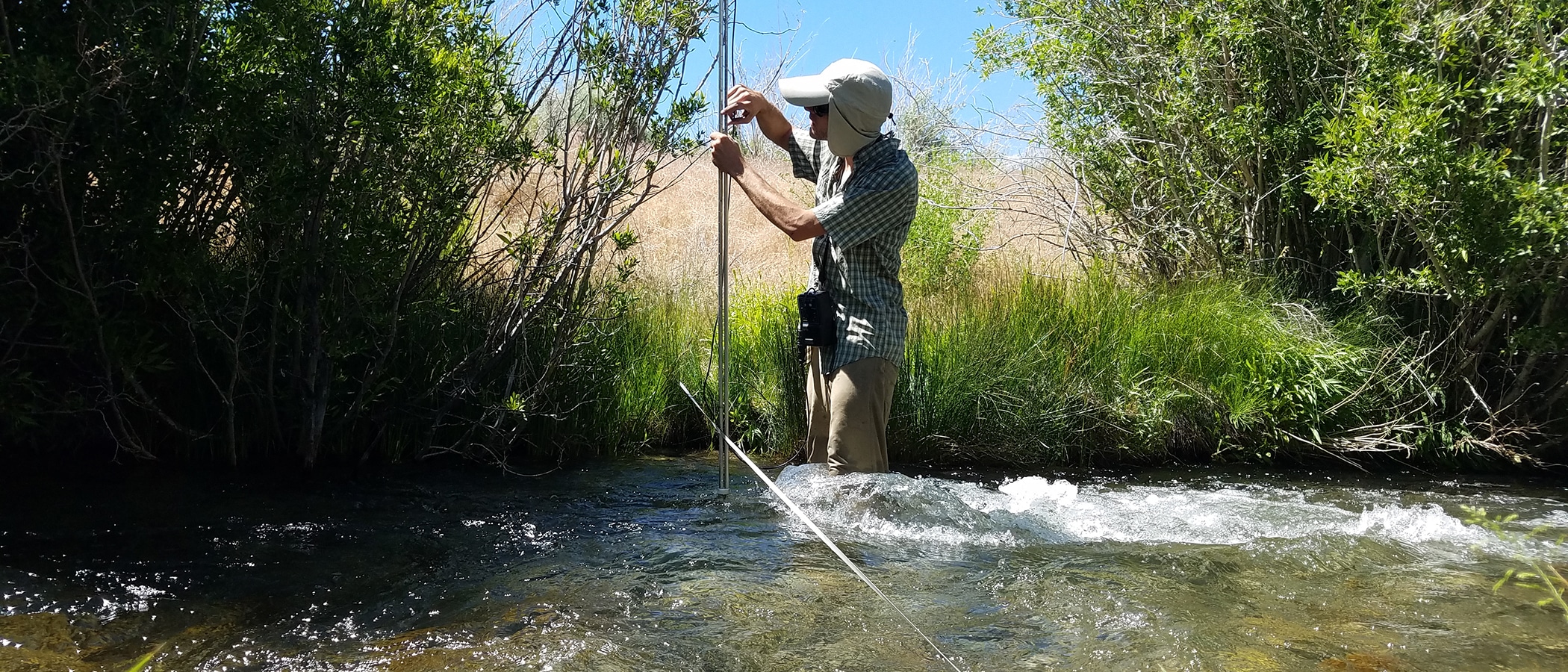 Field technician stands knee deep in a stream with a tall instrument that he is holding vertically in the stream with a long measuring tape going from across the stream bank, and there are green grasses and willows and rushing water.