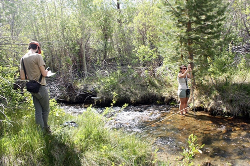 Two people at a creek, one person standing in it with a measuring instrument and the other is standing on the stream bank recording data.