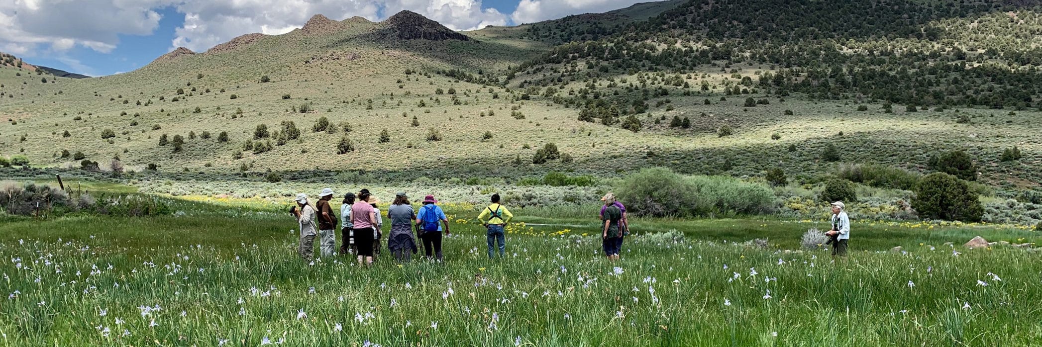 Eleven people standing in a beautiful green field with light purple iris all around, and sage-covered hills in the distance.