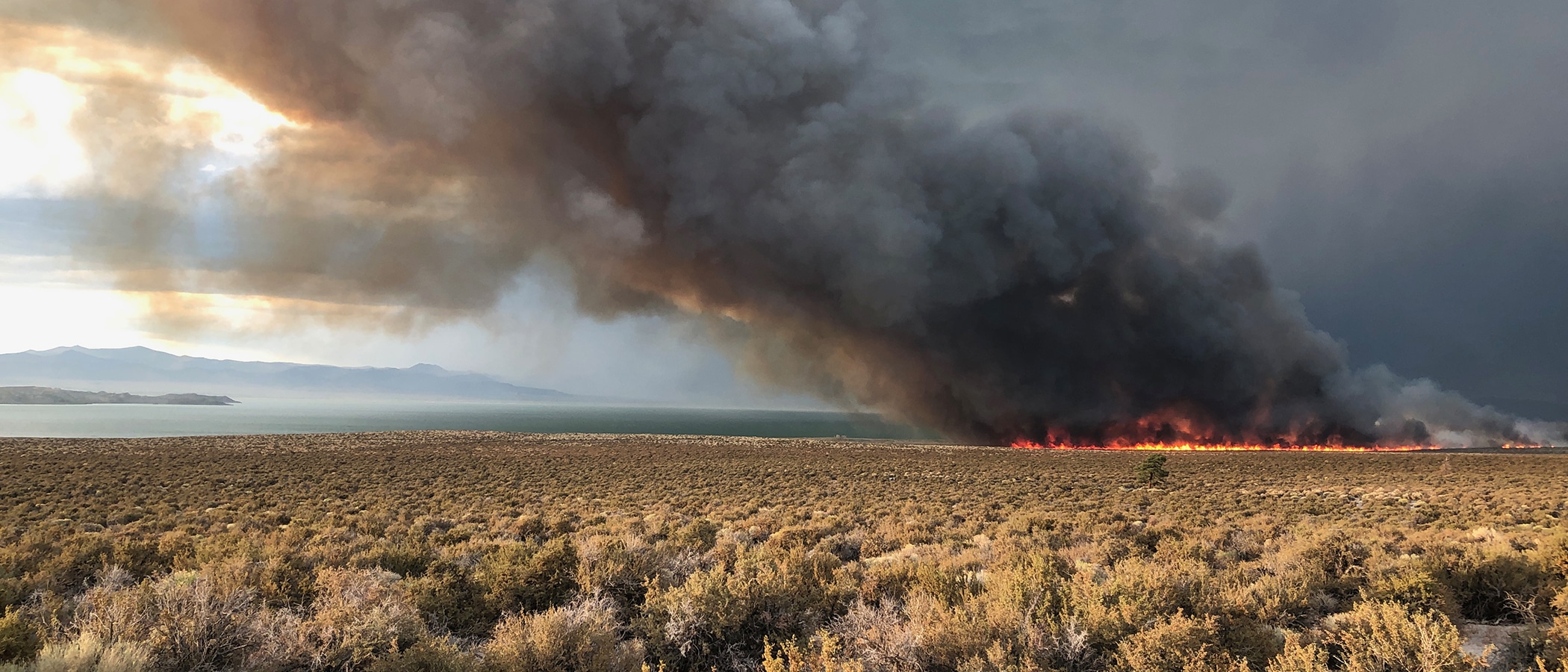 A wildfire with red and orange flames and a large plume of dark smoke in a large open expanse of sagebrush along the shore of Mono Lake.