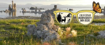Tufa and shoreline of Mono Lake with a logo for California Biodiversity Day 2020 of a pair of sunglasses with a deer, lake, mountains, and hawk in one lens, and a butterfly purched on top.