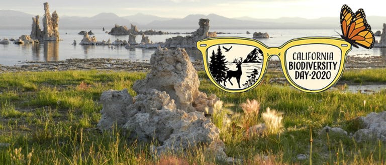 Tufa and shoreline of Mono Lake with a logo for California Biodiversity Day 2020 of a pair of sunglasses with a deer, lake, mountains, and hawk in one lens, and a butterfly purched on top.