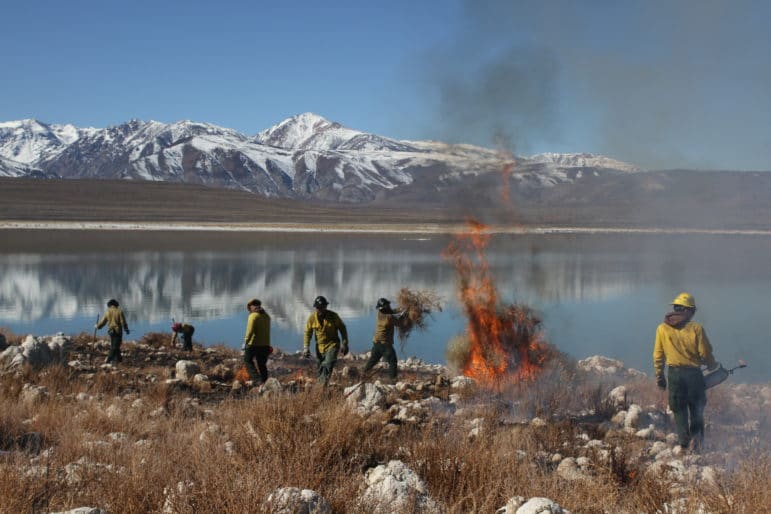 Wildland firefighters burning invasive weeds on island in Mono Lake.