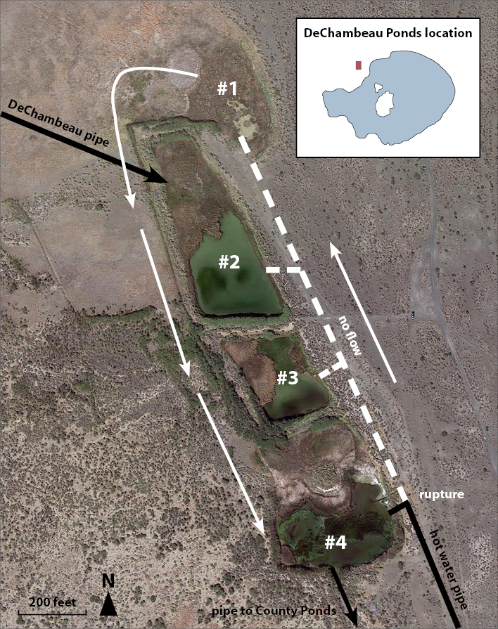 An aerial view of the four ponds with arrows representing the hot water pipe and the DeChambeau pipe, as well as the rupture and no flow area stretching from Pond #1 to Pond #3.