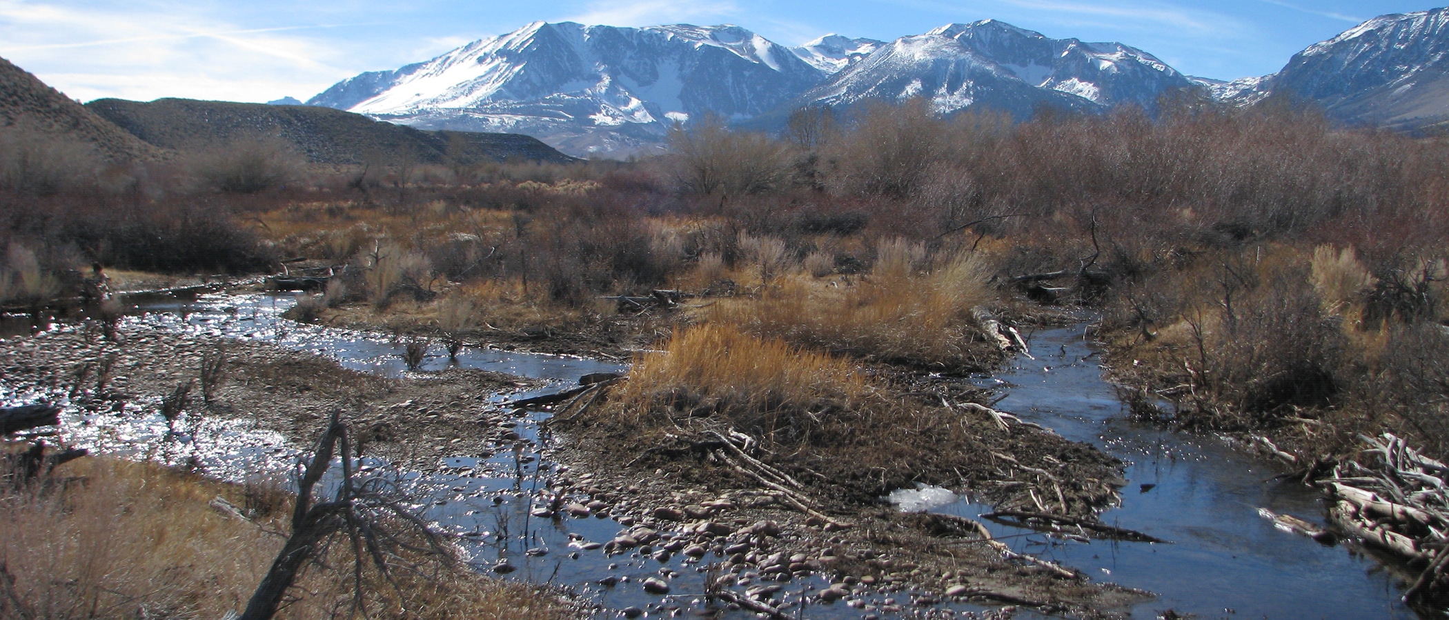 Three small, shallow paths of dark blue water glisten in the sun as they snake through pebbles and brown branches, and snowy mountains rise behind them.