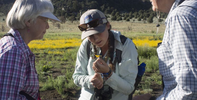 Three people with outdoor gear and binoculars look at a small yellow flower while standing on front of a field of yellow flowers.