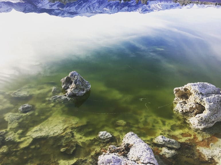 In the foreground, a close up of algae-filled lake water is bright green and shows tufa beneath the surface. The green turns into a reflection of the cloudy sky, and eventually a perfect reflection of an upside-down snowy mountain range