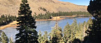 Tall evergreen trees line the yellow coast of a blue lake, and patches of ice surround the surface under bright sunlight.