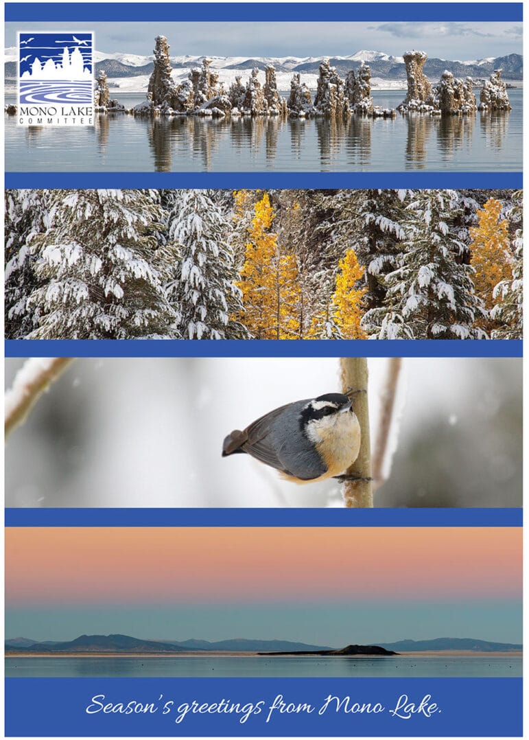 Five different horizontal photos make up a season's greetings card: snowy tufa, snow covered evergreen trees, A small bird on a branch, and a light pink and orange sunset over Mono Lake.