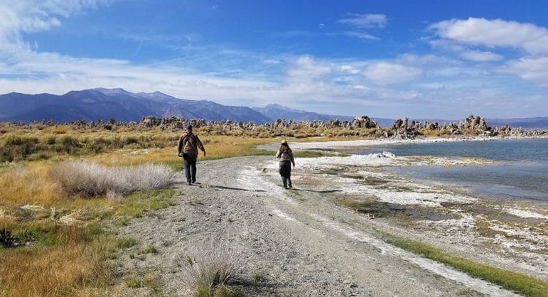 A man and a woman with their backs to the camera walk towards a grouping of tufa along the gray rocky beach path through green and yellow grasses.