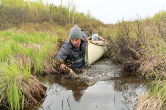 A man up to his waist in brown water pulls a canoe behind hind through a narrow creek surrounded by tall grass.