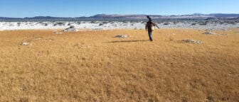 One man walks with a tripod across his back through a golden field of grass towards snow covered rocks on the shore of Mono Lake.