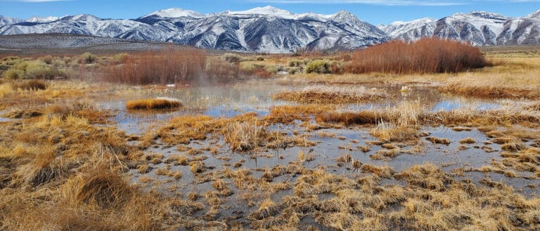 The DeChambeau Pond water is filled with golden brown and green grasses and plants, with the snow covered Sierra Nevada mountains behind it.