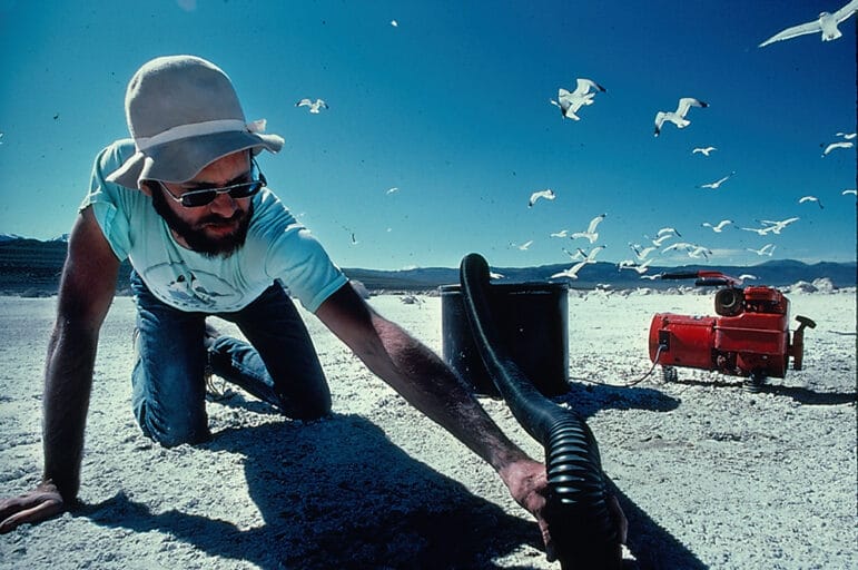 A bearded man in sunglasses and a hat kneels on the sunny beach holding a black pipe connected to a red machine. Seagulls take flight behind him.