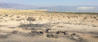Sage brush on Navy Beach is patchy and slightly darkened, with hazy skies above Mono Lake in the distance.