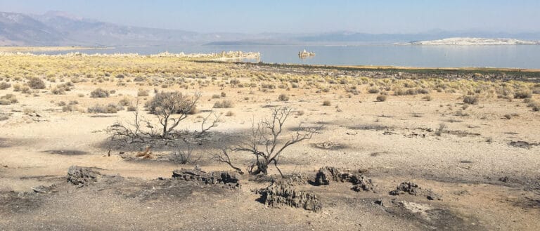 Sage brush on Navy Beach is patchy and slightly darkened, with hazy skies above Mono Lake in the distance.