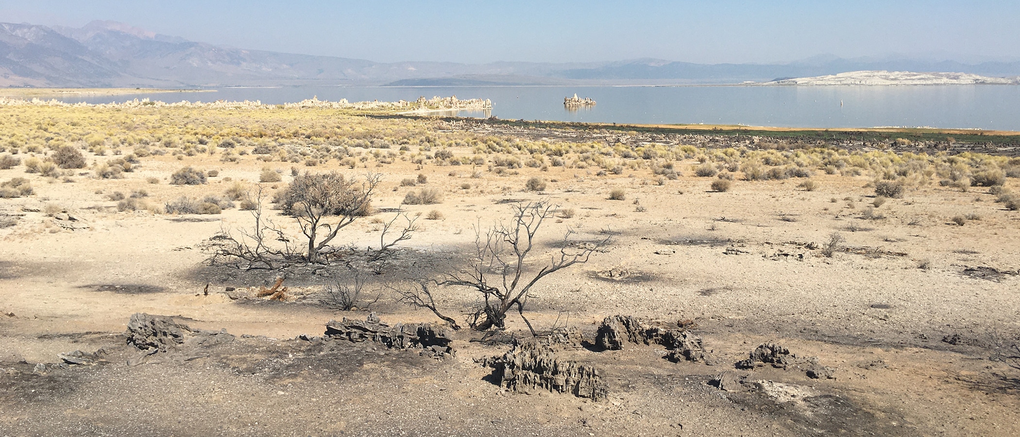 Sage brush on Navy Beach is patchy and slightly darkened, with hazy skies above Mono Lake in the distance.