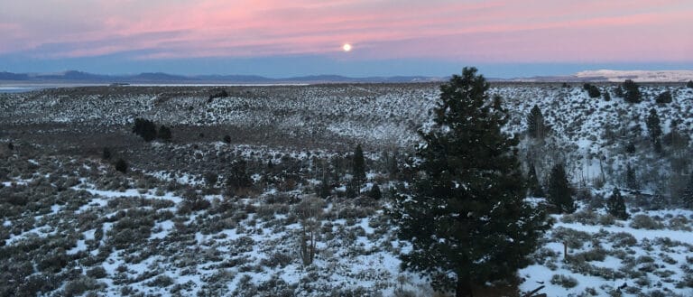 A small full moon sits in the middle of a blue to pink color gradient sunset above snow spotted trees.