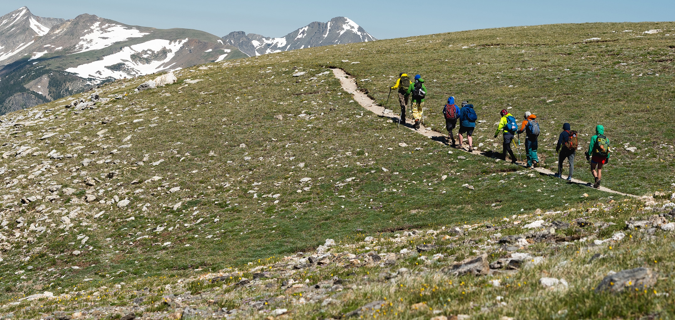 8 hikers with colorful packs and poles walk along a dirt narrow path on a grassy hill towards snowcapped mountains.