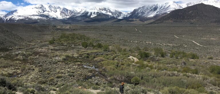 Snowy Sierra Nevada mountains in the distance with Rush Creek flowing down and through the sagebrush.