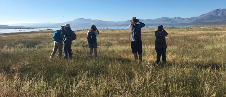 Five people standing in a grassy field adjacent to Mono Lake looking out toward the lake with binoculars at birds flying in the sky and the Sierra Nevada in the distance.