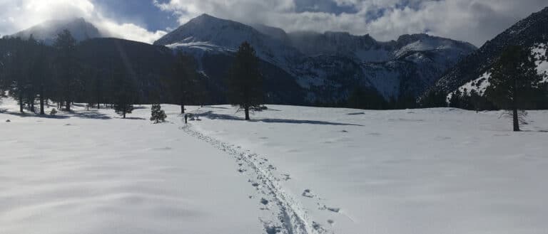 One pair of cross country ski tracks cuts through otherwise untouched snow, with the snow covered Sierra Nevada mountains in the background.