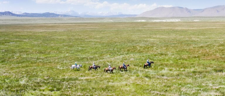 5 horses with riders walk through a light green field which stretches far into the distant mountains.