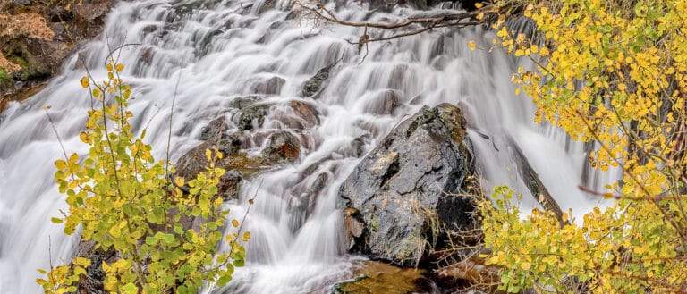 White water rushes down a rocky falls with yellow aspens in front.