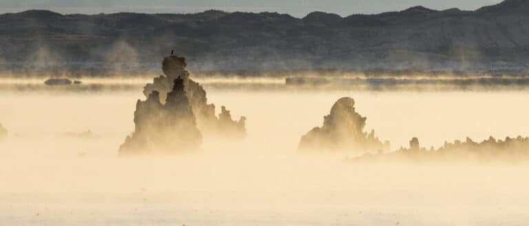 Yellow fog rises from Mono Lake, obscuring the darkened tufa towers.