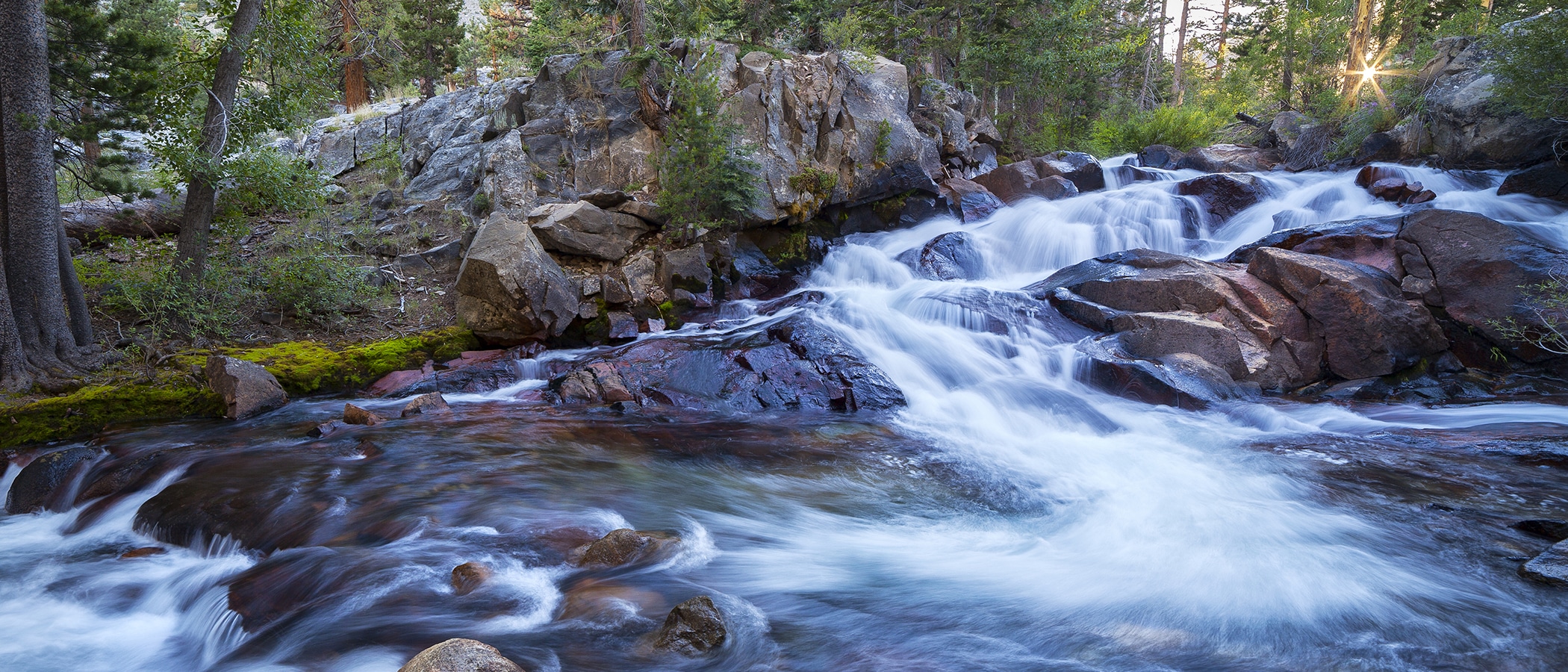 White water rushes over large rocks and swirls around a bend in a green mossy forest.