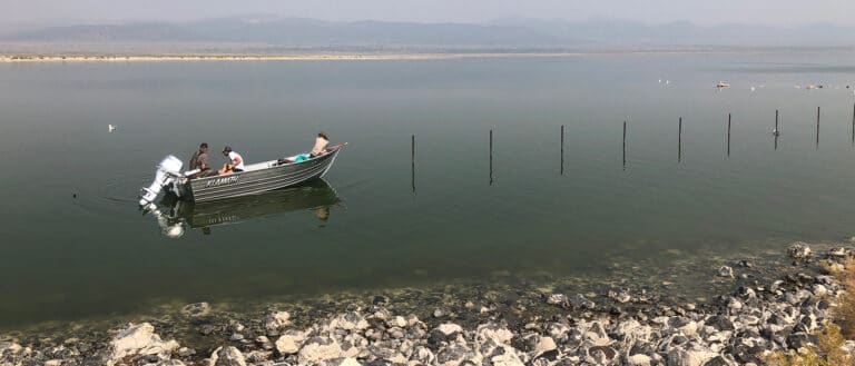 2 people sit in a small gray motor boat on the still, dark green water. On the right side of the boat, fence posts stick up out of the water.