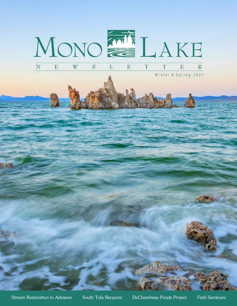 Text over above image reads Mono Lake Newsletter Winter and Spring 2021 in turquoise font with the Mono Lake Committee Logo.