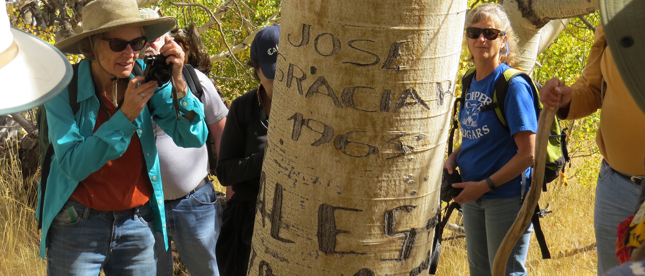 People gather around a tree with names carved into it, and one woman takes a picture.