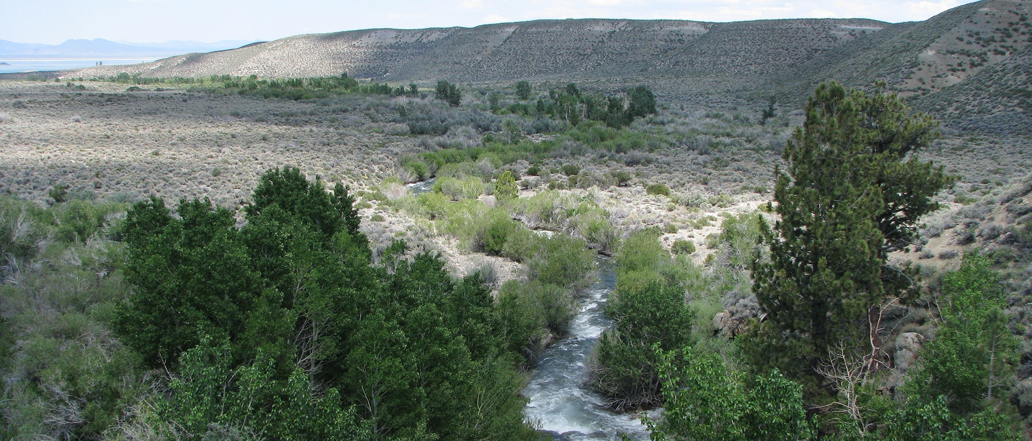 A rushing blue gray stream twists through a gray hilly landscape of sagebrush, with greener vegetation along the water.