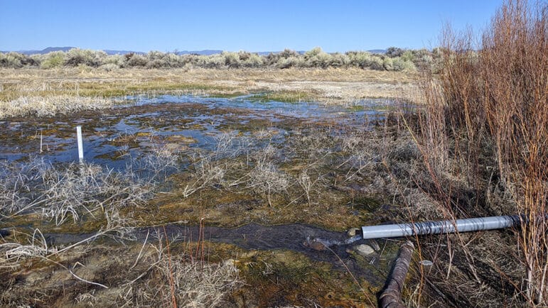 A wetland ringed by desert scrub is fed by water from a pipe.